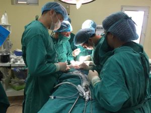 Cách chữa viêm lộ tuyến cổ tử cung