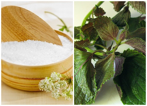 kinh-ngac-toc-tri-mun-trung-ca-cua-la-tia. 4