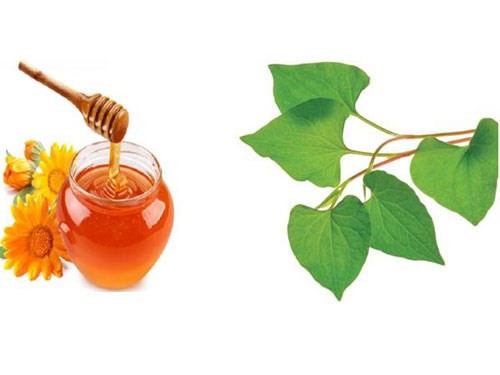 meo-lam-mo-vet-tham-nhanh-chong-bang-rau-diep-ca. 3