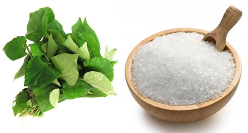 meo-lam-mo-vet-tham-nhanh-chong-bang-rau-diep-ca. 5