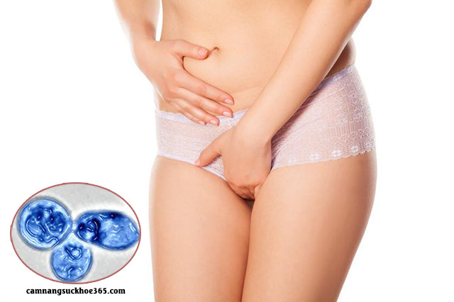Ngứa 2 bên mép vùng kín do nhiễm trùng nấm men