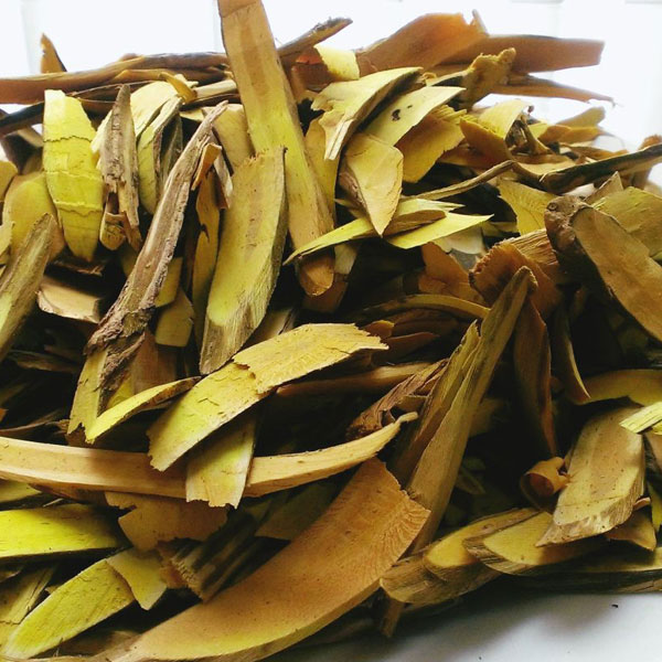 la-mat-gau-co-tac-dung-chua-benh-gi. 5