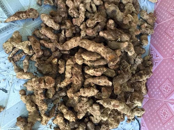 cach-chua-viem-da-co-dia-bang-cu-khuc-khac. 2