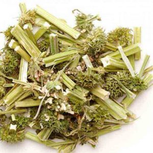 Thuốc chữa rong kinh bằng lá ngải cứu