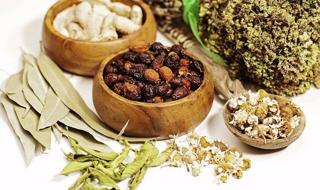 Bài thuốc Đông y chữa bệnh nấm âm đạo