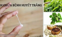 Chữa bệnh huyết trắng
