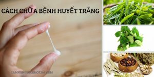 Chữa bệnh huyết trắng