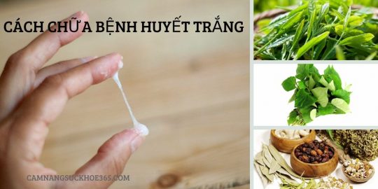 Chữa bệnh huyết trắng