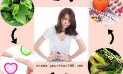 Cách điều trị bệnh viêm niệu đạo