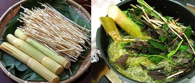 Chữa viêm niệu đạo bằng cỏ tranh