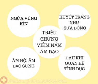 Triệu chứng viêm nấm âm đạo