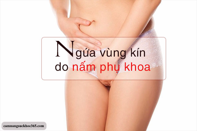 dấu hiệu nấm phụ khoa