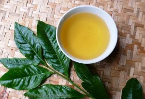 Chữa bệnh huyết trằng bằng lá trà xanh