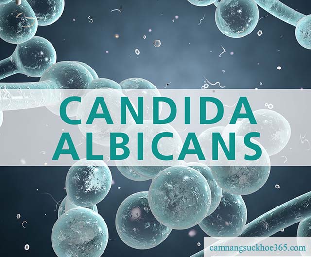 Triệu chứng nấm candida