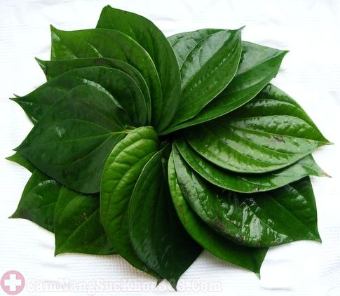 Chữa viêm cổ tử cung nhẹ bằng lá trầu không