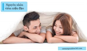 Nguyên nhân viêm niệu đạo