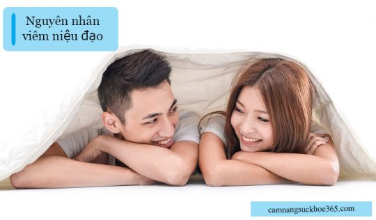 Nguyên nhân viêm niệu đạo