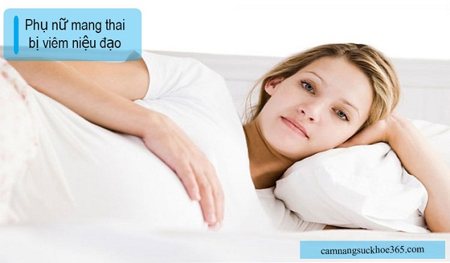 Nguyên nhân gây viêm niệu đạo ở nữ giới