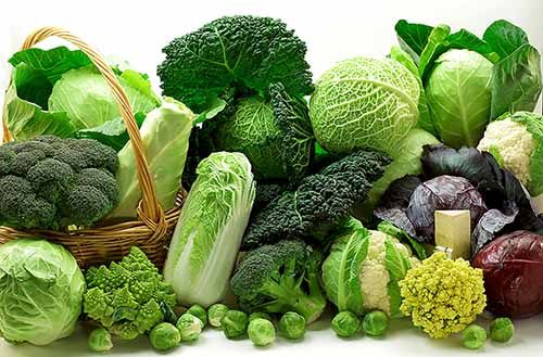 Mới mổ u xơ tử cung nên ăn rau xanh