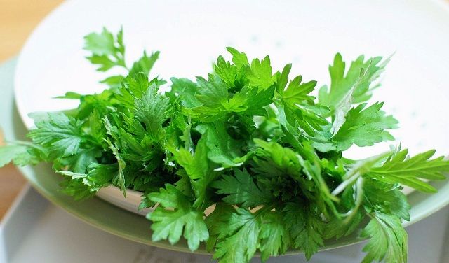 Cách chữa viêm phụ khoa bằng lá ngải cứu