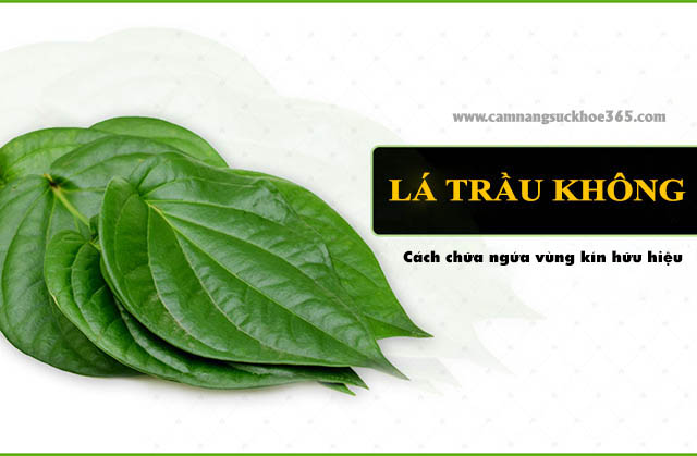 Trị ngứa vùng kín