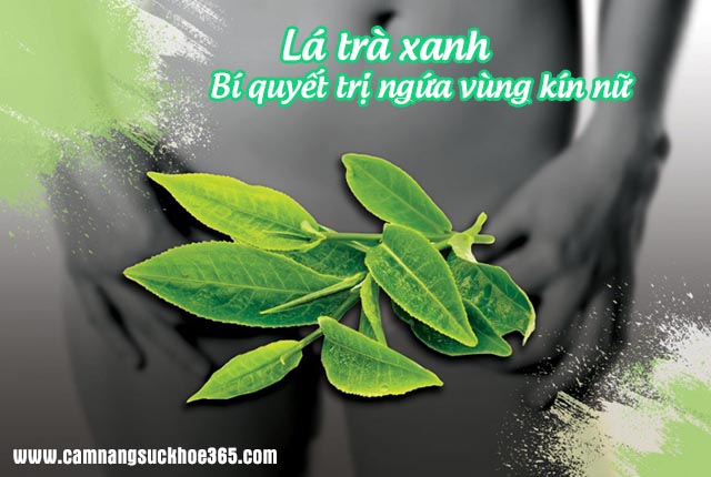 Trị ngứa vùng kín tại nhà