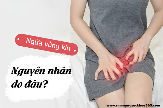 Ngứa vùng kín