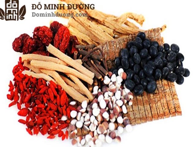 Bài thuốc dòng họ Đỗ Minh chữa rối loạn cương dương