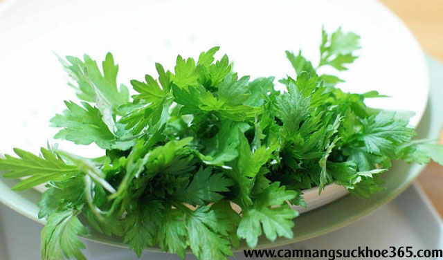 cách trị viêm âm đạo từ ngải cứu