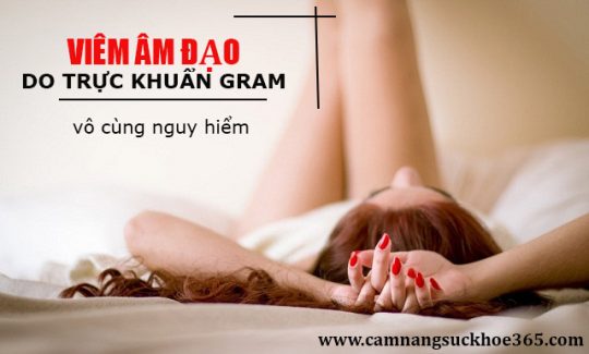 Viêm âm đạo do trực khuẩn gram
