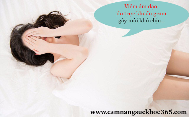 Viêm âm đạo do trực khuẩn gram