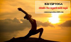 Bài tập yoga dành cho người bị mất ngủ