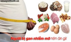 Bị gan nhiễm mỡ nên ăn gì?