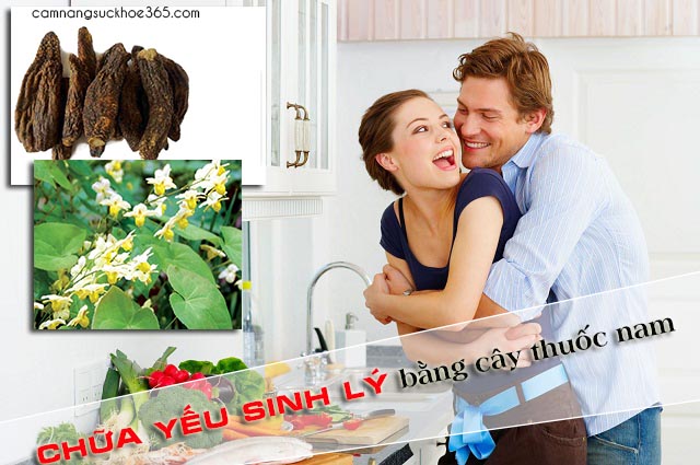 Chữa bệnh yếu sinh lý cho nam giới bằng cây thuốc nam