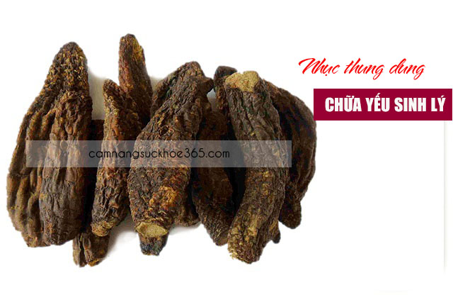 Chữa bệnh yếu sinh lý cho nam giới bằng cây thuốc nam