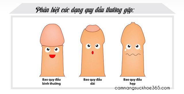 Hướng dẫn tự lột bao quy đầu tại nhà 