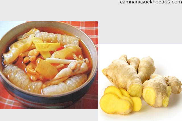 cách chữa yếu sinh lý bằng gừng tươi