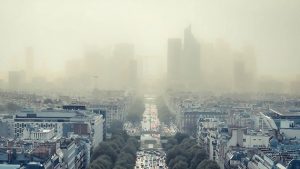 ô nhiễm môi trường gây ra bệnh tổ đỉa