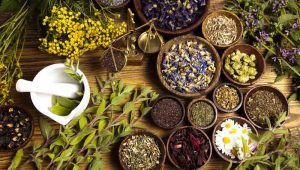 chữa bệnh tổ đỉa bằng thuốc đông y