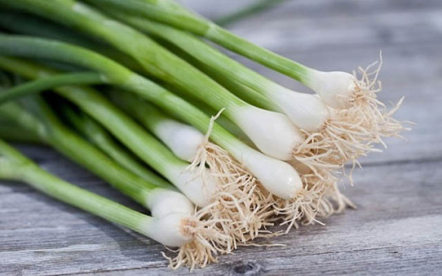 cách chữa viêm da cơ địa bằng hành hoa