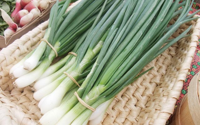 mẹo trị bệnh viêm da cơ địa bằng hành hoa