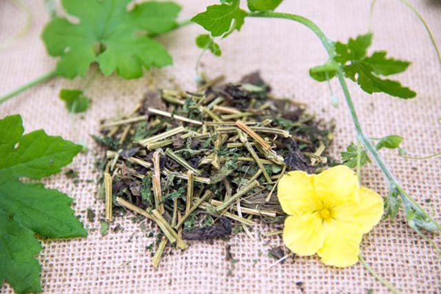 Cách điều trị viêm da dầu tại nhà bằng lá khổ qua