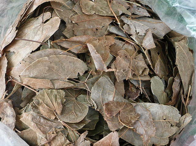  chữa yếu sinh lý bằng Đông y