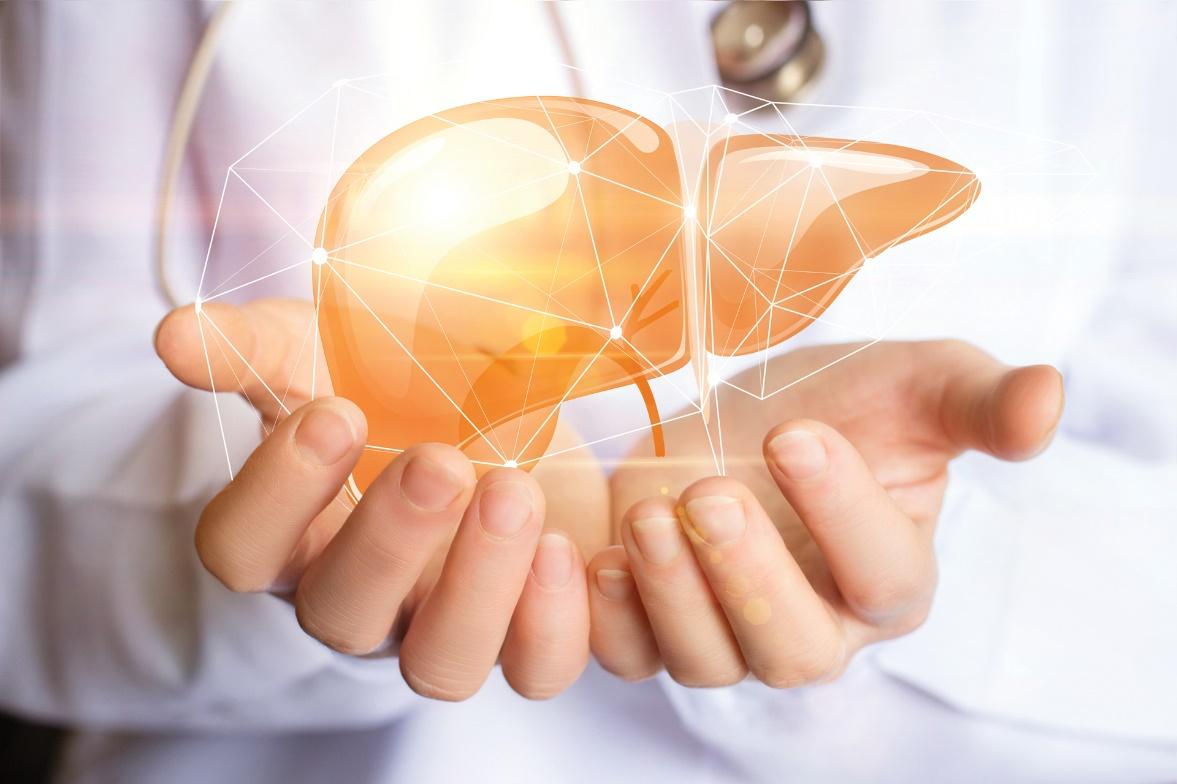 Cách uống rượu hợp lý để không gây hại cho gan