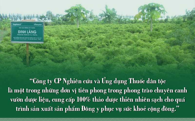 Mô hình dược liệu sạch tại Thuốc dân tộc Mô hình dược liệu sạch tại Thuốc dân tộc