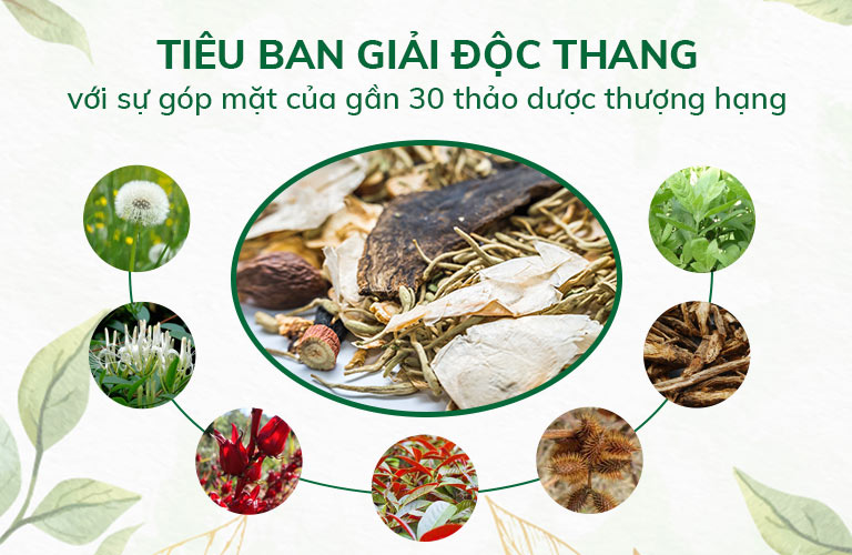 Bài thuốc hòa quyện nhiều vị thảo dược quý đạt chuẩn chất lượng GACP - WHO