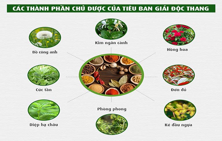 Thành phần bài thuốc Tiêu ban giải độc thang