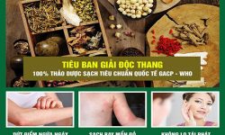 Tiêu ban giải độc thang