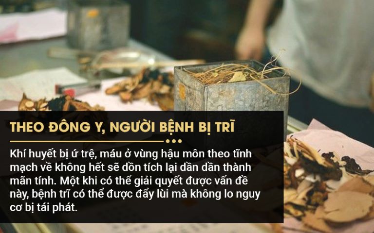Nguyên lý điều trị bệnh trĩ của Đông y