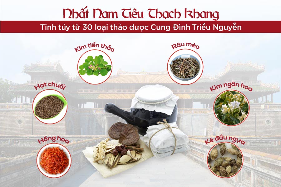 Nguồn gốc Bài thuốc Nhất Nam Tiêu Thạch Khang